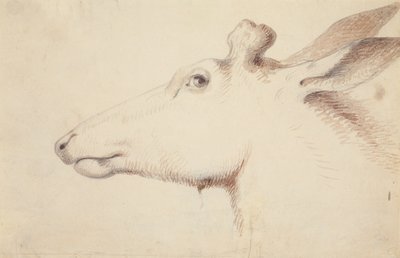 Alce, c.1837 da Alfred Jacob Miller