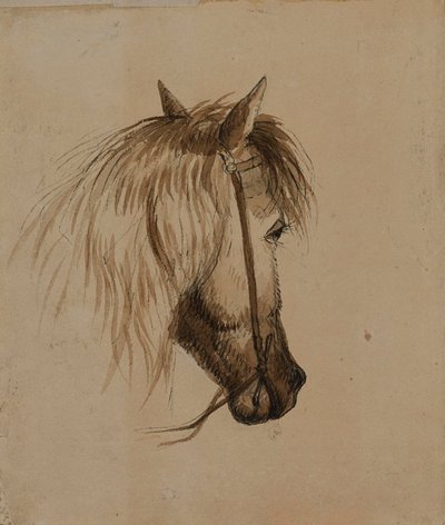 Testa di cavallo da Alfred Jacob Miller