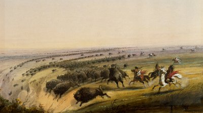 Caccia al bufalo da Alfred Jacob Miller