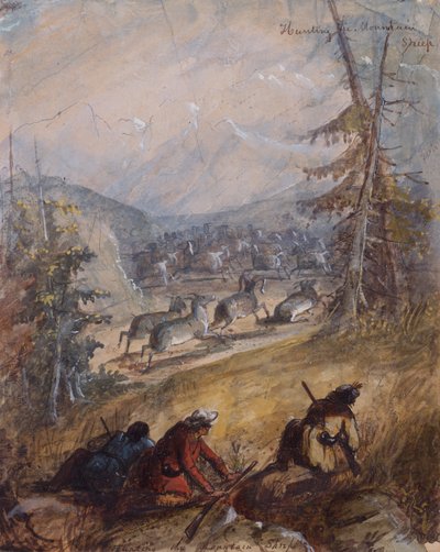 Caccia alla Pecora di Montagna, c.1837 da Alfred Jacob Miller