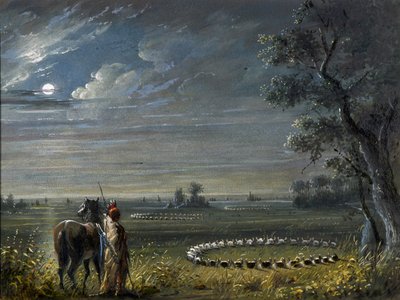 Cerchi medicinali da Alfred Jacob Miller