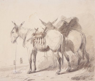 Equipaggiamento per muli, c.1837 da Alfred Jacob Miller