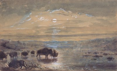 Scena notturna, bufali nella prateria, c.1837 da Alfred Jacob Miller