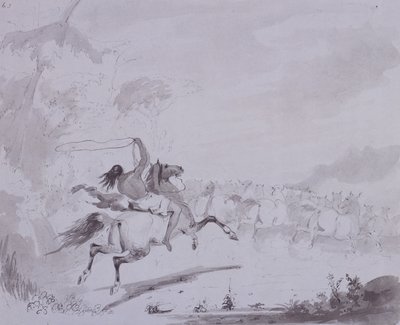 Lancio del lazo, c.1837 da Alfred Jacob Miller