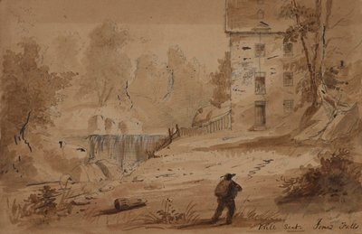 Vista di una casa e delle cascate da Alfred Jacob Miller