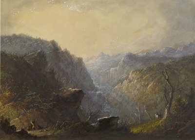 Paesaggi selvaggi (Creazione di un nascondiglio) da Alfred Jacob Miller
