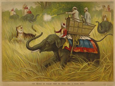 Edoardo, Principe di Galles, caccia le tigri durante una visita in India da Alfred Johnson