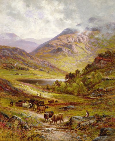 Bovini Longhorn in un paesaggio montuoso da Alfred Jr. Glendening