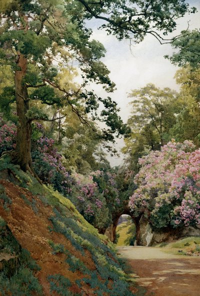 Una radura fiorita. Clairiere fleurie (Allee en fleurs). Pittura di Alfred William Parsons (1847-1920 Britannico) Collezione privata da Alfred Parsons