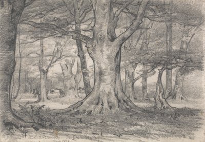 Paesaggio forestale vicino a Boldrewood da Alfred Parsons
