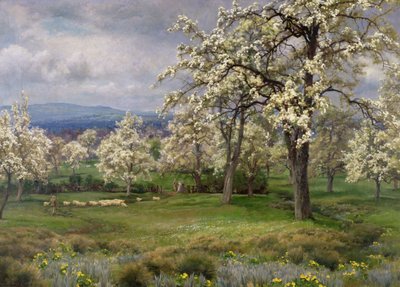 Il frutteto di pere, c.1903 da Alfred Parsons