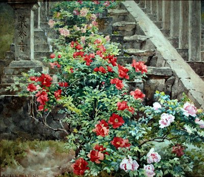 Peonie arboree a Hase Dera - scalini verso il Tempio Kwannon, Giappone da Alfred Parsons