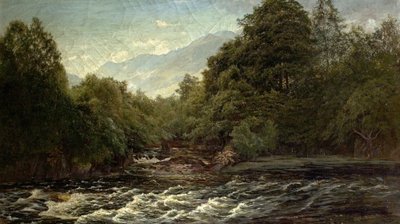 La piscina del salmone (Piscina del salmone sullo Spean, Scozia), 1880 da Alfred Pizzey Newton