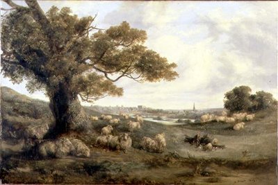 Veduta di Norwich da Alfred Priest