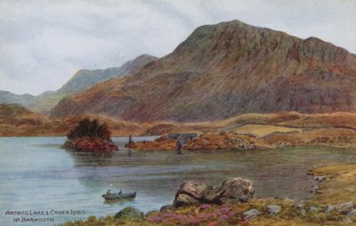 Lago di Arthog e Cader Idris, vicino a Barmouth da Alfred Robert Quinton