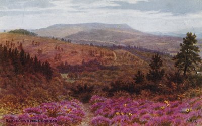 Blackdown da Hindhead da Alfred Robert Quinton