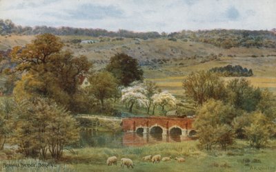 Ponte di Boxhill, Dorking da Alfred Robert Quinton