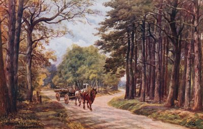 Foresta di Broadwater, Tunbridge Wells da Alfred Robert Quinton