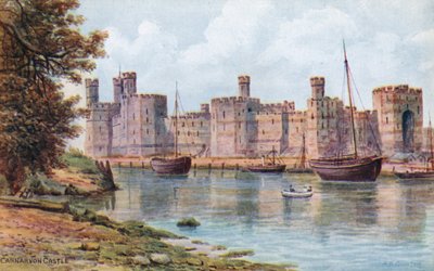 Castello di Carnarvon da Alfred Robert Quinton