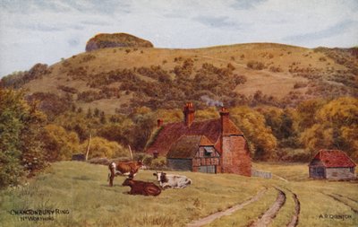 Chanctonbury Ring, Worthing da Alfred Robert Quinton