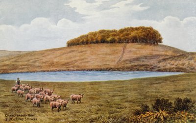 Chanctonbury Ring e Dew Pond, S Downs da Alfred Robert Quinton