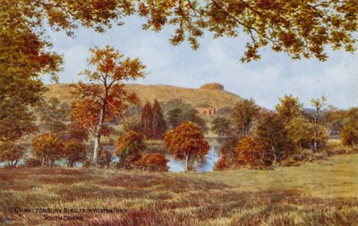 Chanctonbury Ring, da Wiston Pond, South Downs da Alfred Robert Quinton