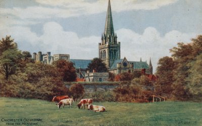 Cattedrale di Chichester, dai prati da Alfred Robert Quinton