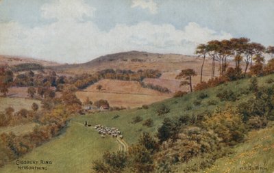Cissbury Ring vicino a Worthing da Alfred Robert Quinton