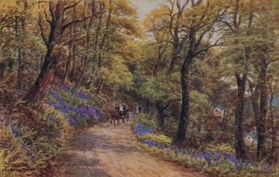 Clovelly, The Hobby Drive da Alfred Robert Quinton