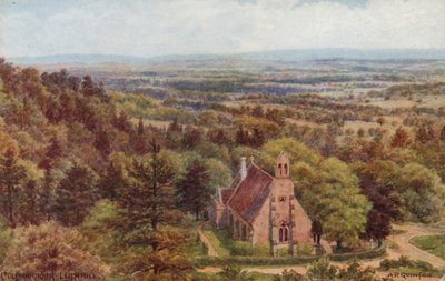 Coldharbour, Leith Hill da Alfred Robert Quinton