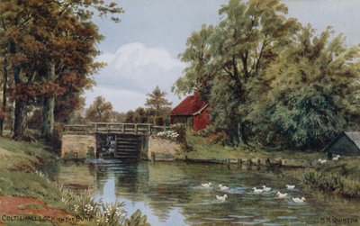 Chiusa di Coltishall, sul Bure da Alfred Robert Quinton