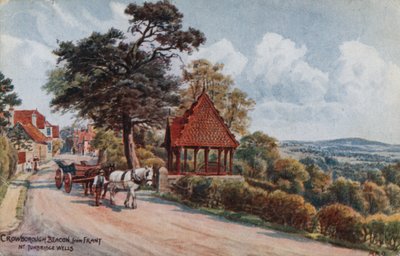 Crowborough Beacon da Frant, Tunbridge Wells da Alfred Robert Quinton