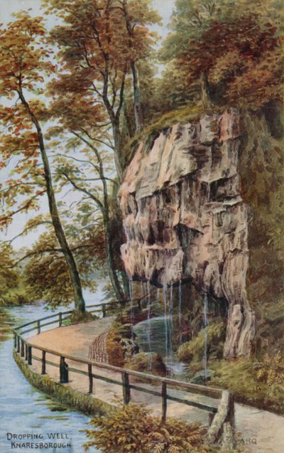 Pozzo di Knaresborough da Alfred Robert Quinton