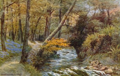 Groudle Glen, Isola di Man da Alfred Robert Quinton