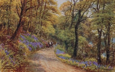 Hobby Drive, Clovelly (litografia a colori) da Alfred Robert Quinton