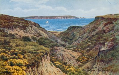 Isola di Wight, da Becton Bunny, Barton-on-Sea da Alfred Robert Quinton