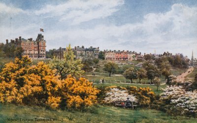 Monte Ephraim, Tunbridge Wells da Alfred Robert Quinton
