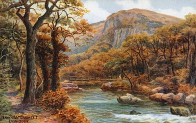 Vicino a Watersmeet, Lynmouth da Alfred Robert Quinton