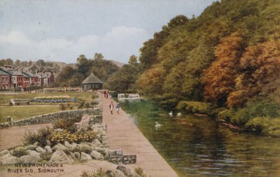 Nuova Passeggiata e Fiume Sid, Sidmouth da Alfred Robert Quinton