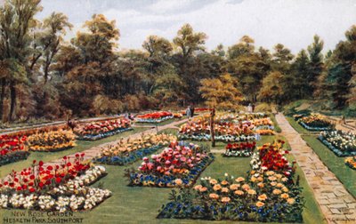 Nuovo giardino delle rose, Hesketh Park, South Port da Alfred Robert Quinton