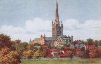 Cattedrale di Norwich da Alfred Robert Quinton