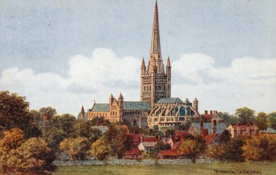 Cattedrale di Norwich da Alfred Robert Quinton