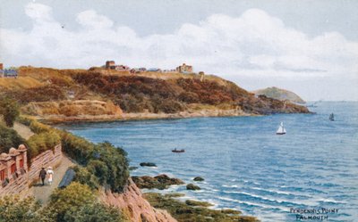 Pendennis Point, Falmouth da Alfred Robert Quinton