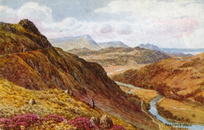 Passeggiata sul precipizio, Dolgelley da Alfred Robert Quinton