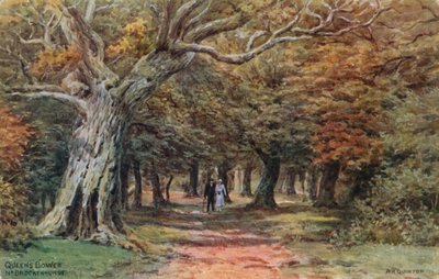 Bower della Regina vicino a Brockenhurst da Alfred Robert Quinton