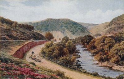 Rhayader sul Wye da Alfred Robert Quinton