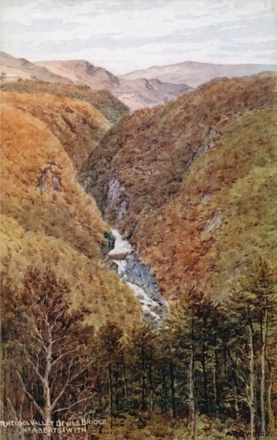 Valle del Rheidol, Ponte del Diavolo, vicino ad Aberystwyth da Alfred Robert Quinton