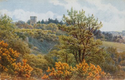 Chiesa di Rusthall, Tunbridge Wells da Alfred Robert Quinton