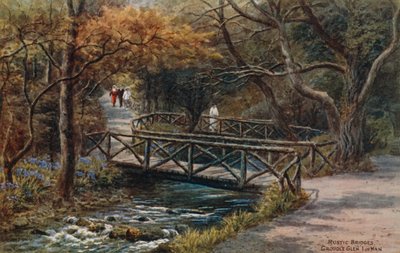 Ponti rustici, Groudle Glen, Isola di Man da Alfred Robert Quinton
