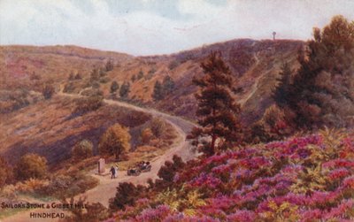 La pietra del marinaio e Gibbet Hill, Hindhead da Alfred Robert Quinton